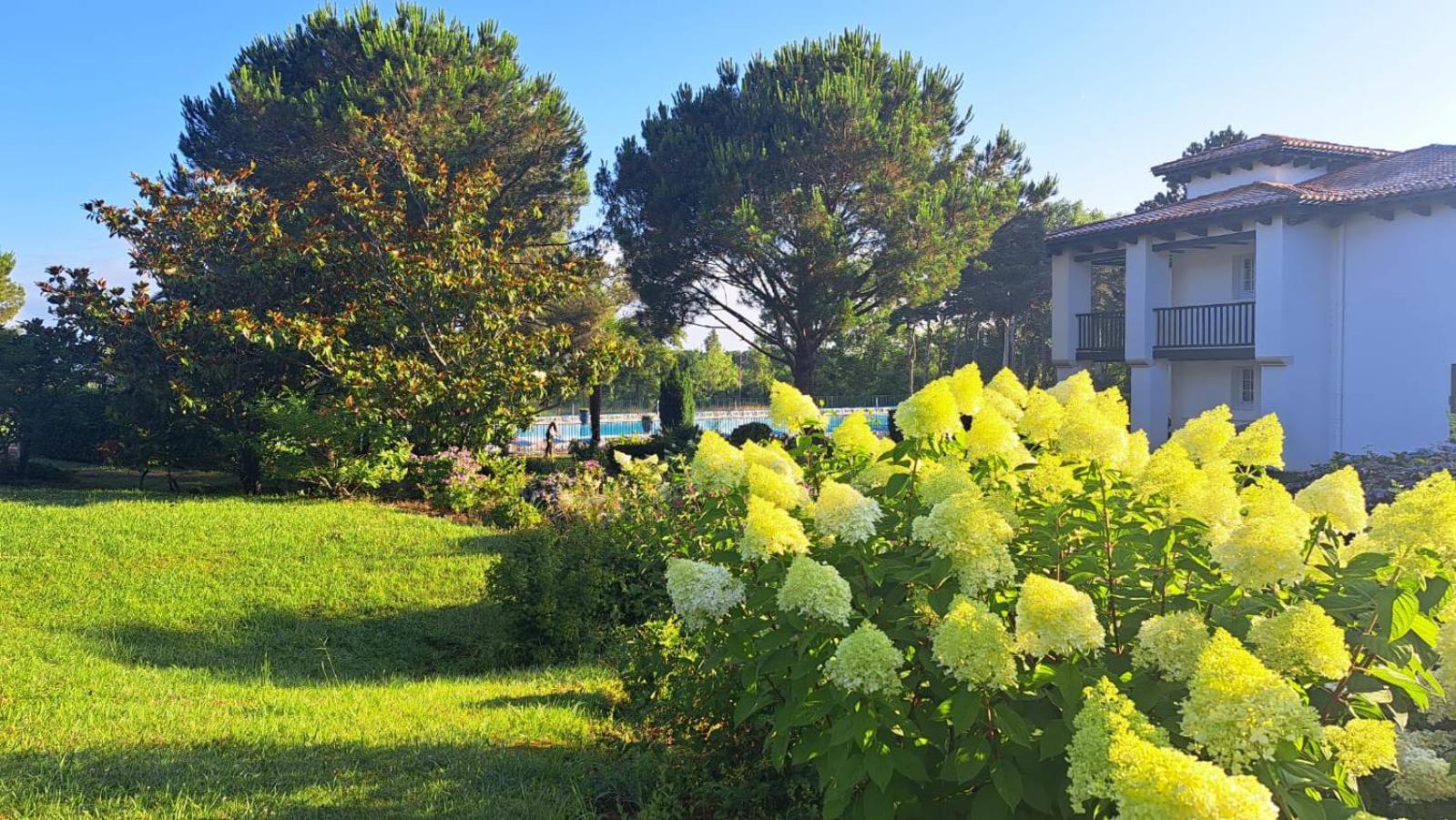 乌瑞基尼Atlantic Selection - Domaine De Bordaberry - Terrasse & Superbe Piscine公寓 外观 照片